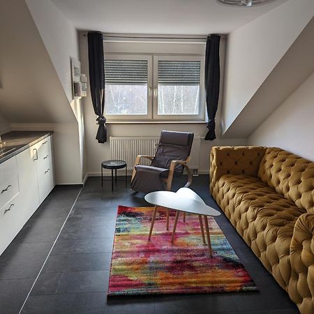 Ferienwohnung Am Stadtpark Chemnitz Dış mekan fotoğraf