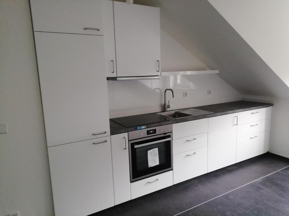 Ferienwohnung Am Stadtpark Chemnitz Dış mekan fotoğraf