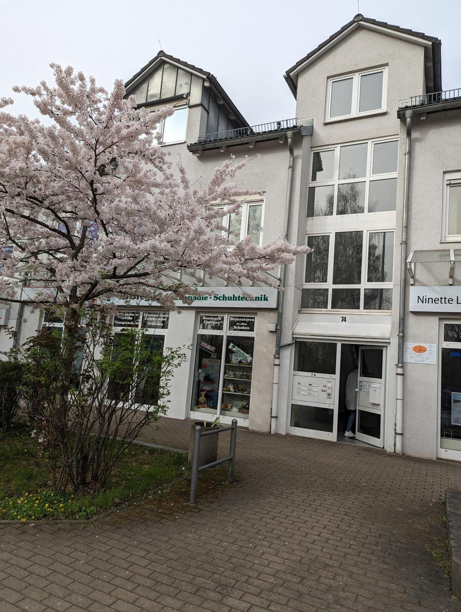 Ferienwohnung Am Stadtpark Chemnitz Dış mekan fotoğraf